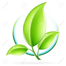 Profile picture for user lethethanh2208