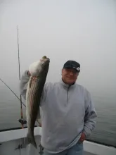 Profile picture for user prv