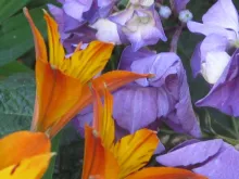 Profile picture for user twosolvej