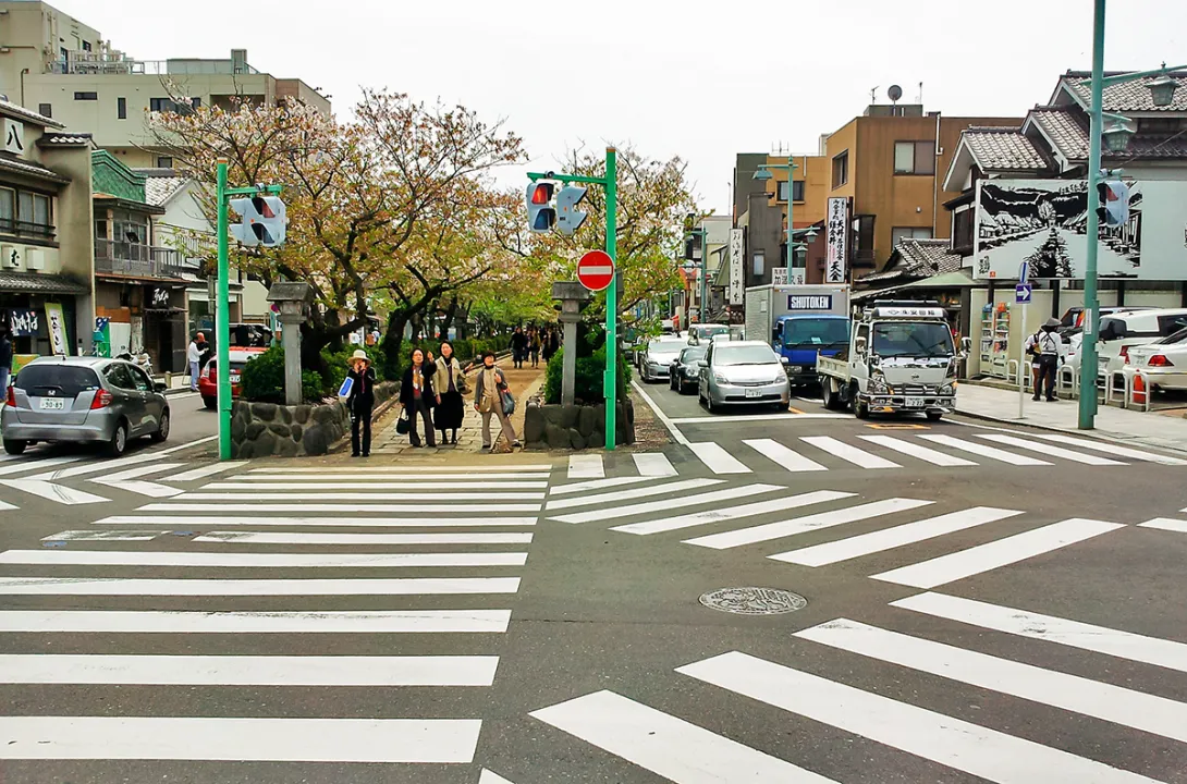 crazy crosswalks